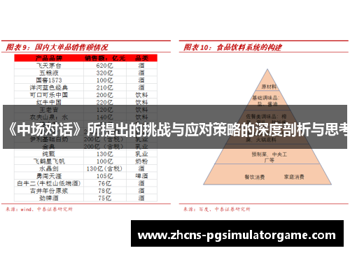 《中场对话》所提出的挑战与应对策略的深度剖析与思考