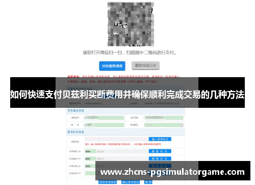 如何快速支付贝兹利买断费用并确保顺利完成交易的几种方法
