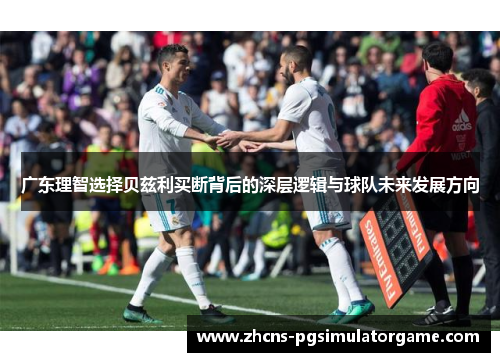 广东理智选择贝兹利买断背后的深层逻辑与球队未来发展方向