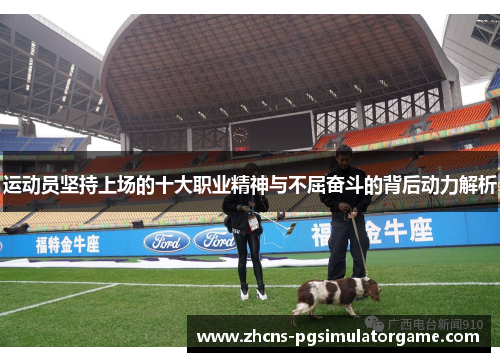 运动员坚持上场的十大职业精神与不屈奋斗的背后动力解析