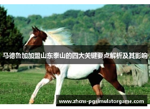马德鲁加加盟山东泰山的四大关键要点解析及其影响