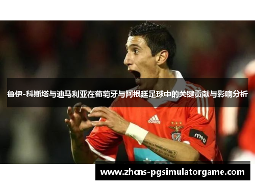 鲁伊-科斯塔与迪马利亚在葡萄牙与阿根廷足球中的关键贡献与影响分析