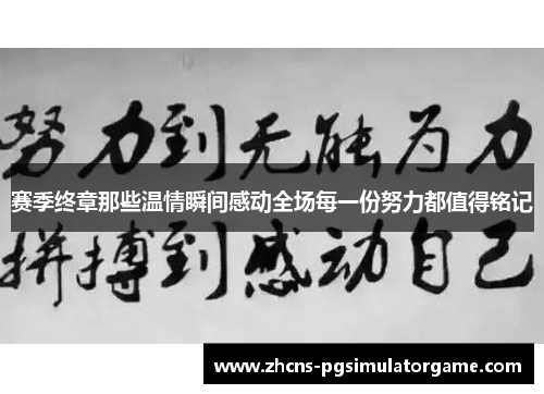 赛季终章那些温情瞬间感动全场每一份努力都值得铭记