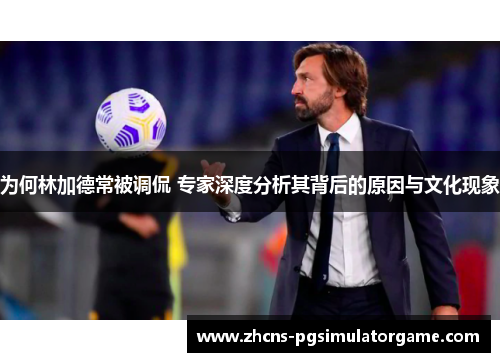 为何林加德常被调侃 专家深度分析其背后的原因与文化现象