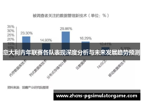 意大利青年联赛各队表现深度分析与未来发展趋势预测