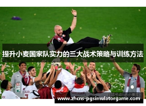 提升小麦国家队实力的三大战术策略与训练方法