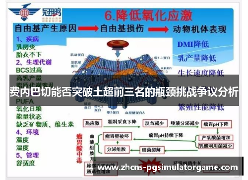 费内巴切能否突破土超前三名的瓶颈挑战争议分析
