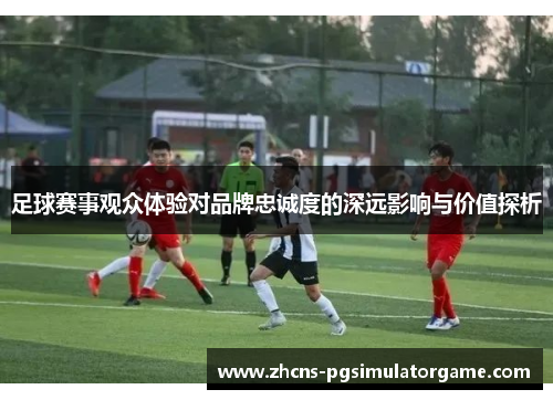 足球赛事观众体验对品牌忠诚度的深远影响与价值探析